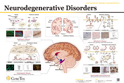 Neurodegenerative Disorders